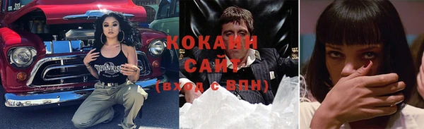 прущие грибы Кулебаки