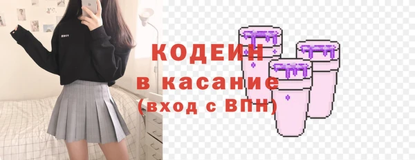 прущие грибы Кулебаки