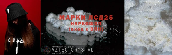 прущие грибы Кулебаки