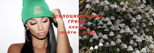 прущие грибы Кулебаки