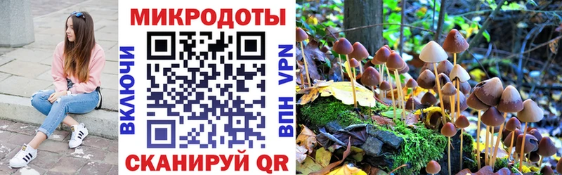 Галлюциногенные грибы MAGIC MUSHROOMS  Малмыж 